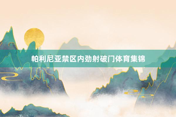 帕利尼亚禁区内劲射破门体育集锦