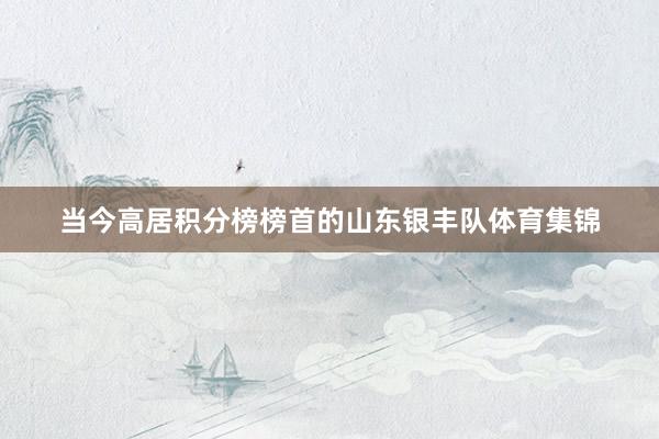 当今高居积分榜榜首的山东银丰队体育集锦