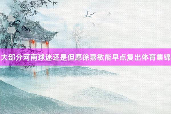大部分河南球迷还是但愿徐嘉敏能早点复出体育集锦