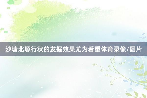 沙塘北塬行状的发掘效果尤为看重体育录像/图片
