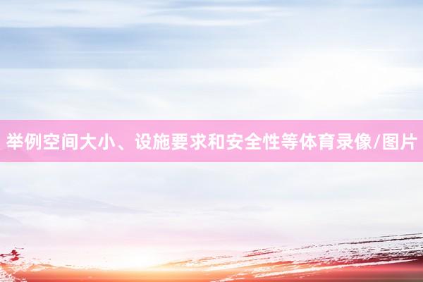 举例空间大小、设施要求和安全性等体育录像/图片