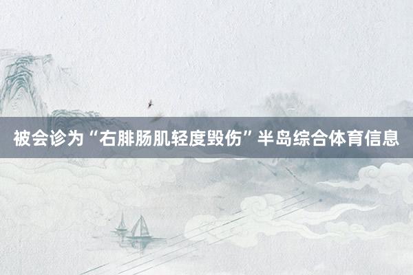 被会诊为“右腓肠肌轻度毁伤”半岛综合体育信息