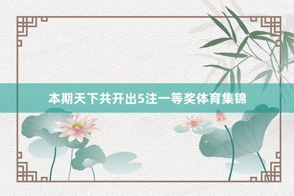 本期天下共开出5注一等奖体育集锦