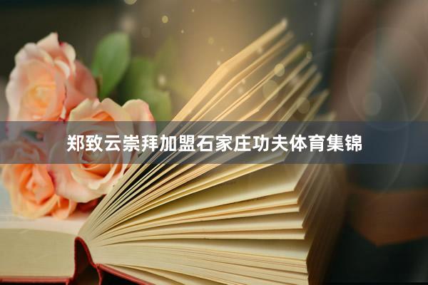 郑致云崇拜加盟石家庄功夫体育集锦