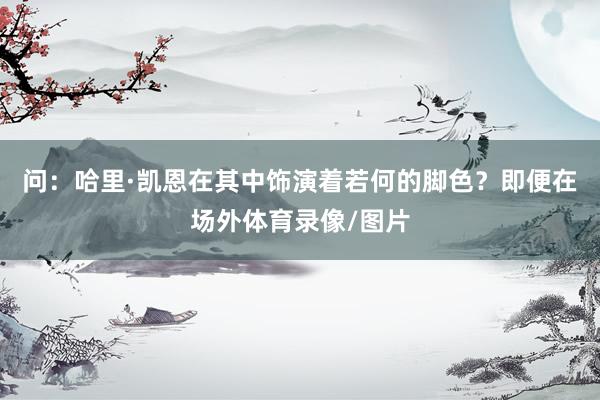 问：哈里·凯恩在其中饰演着若何的脚色？即便在场外体育录像/图片