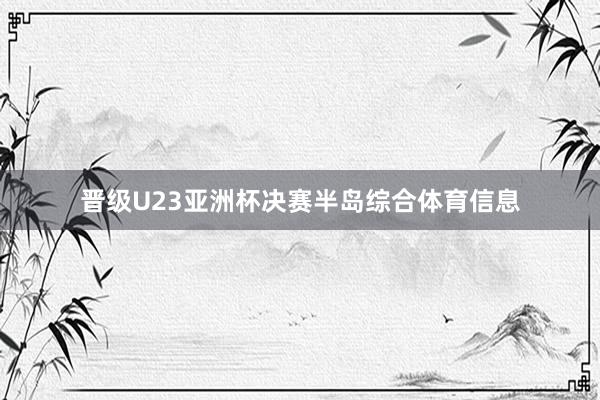 晋级U23亚洲杯决赛半岛综合体育信息