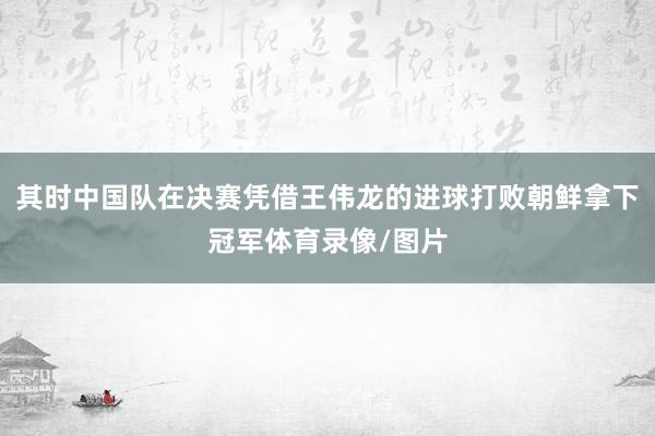 其时中国队在决赛凭借王伟龙的进球打败朝鲜拿下冠军体育录像/图片