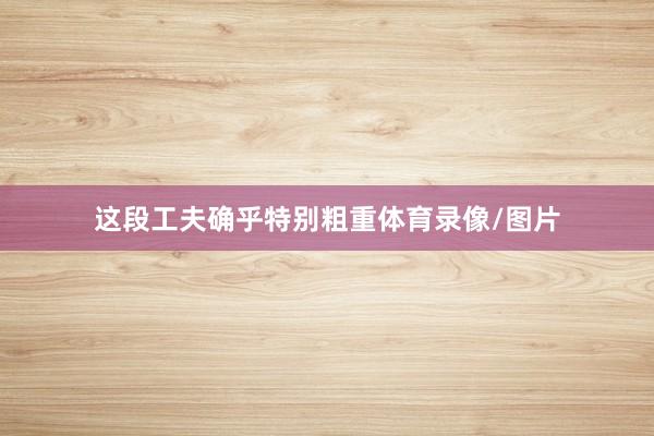 这段工夫确乎特别粗重体育录像/图片