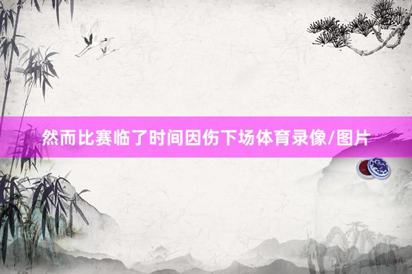 然而比赛临了时间因伤下场体育录像/图片