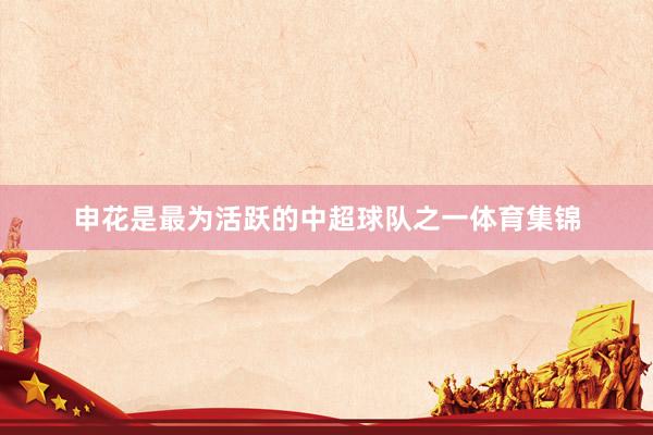 申花是最为活跃的中超球队之一体育集锦