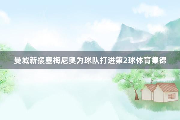 曼城新援塞梅尼奥为球队打进第2球体育集锦