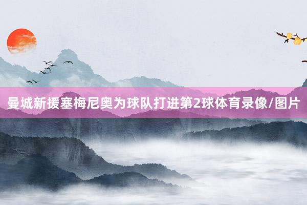 曼城新援塞梅尼奥为球队打进第2球体育录像/图片
