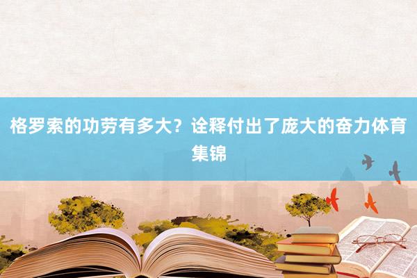 格罗索的功劳有多大？诠释付出了庞大的奋力体育集锦