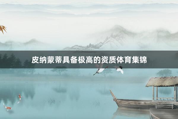 皮纳蒙蒂具备极高的资质体育集锦