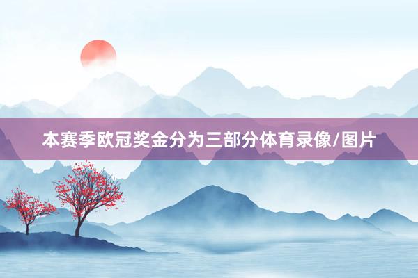 本赛季欧冠奖金分为三部分体育录像/图片