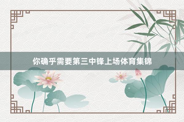 你确乎需要第三中锋上场体育集锦