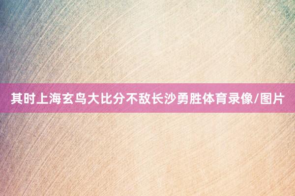 其时上海玄鸟大比分不敌长沙勇胜体育录像/图片