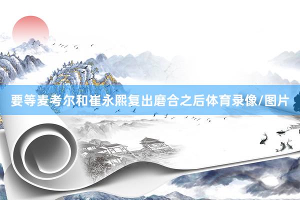 要等麦考尔和崔永熙复出磨合之后体育录像/图片