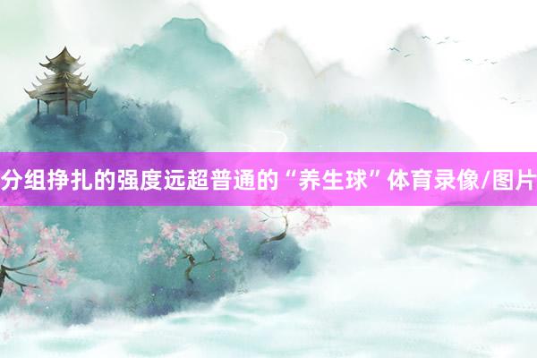 分组挣扎的强度远超普通的“养生球”体育录像/图片