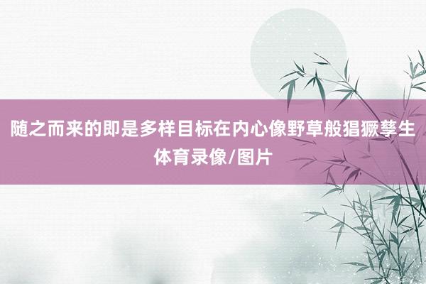 随之而来的即是多样目标在内心像野草般猖獗孳生体育录像/图片