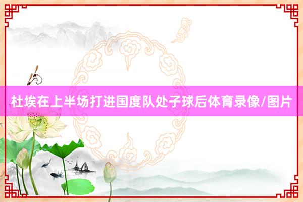 杜埃在上半场打进国度队处子球后体育录像/图片