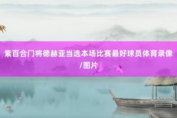 紫百合门将德赫亚当选本场比赛最好球员体育录像/图片