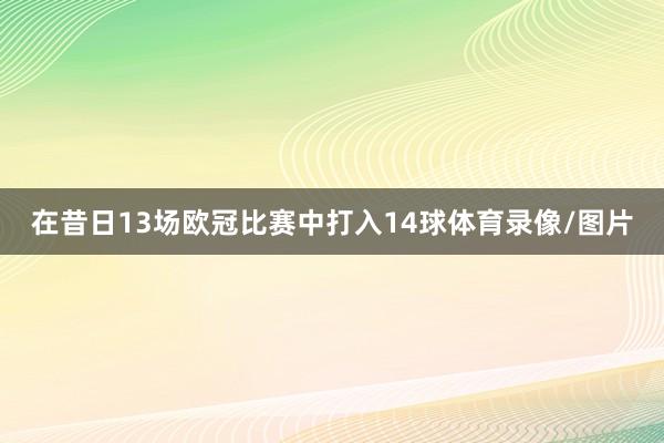 在昔日13场欧冠比赛中打入14球体育录像/图片