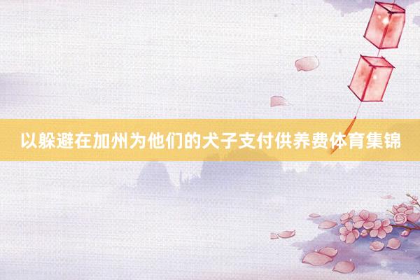 以躲避在加州为他们的犬子支付供养费体育集锦