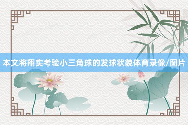 本文将翔实考验小三角球的发球状貌体育录像/图片