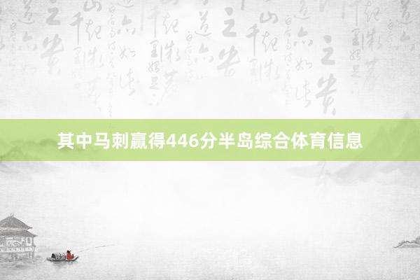 其中马刺赢得446分半岛综合体育信息