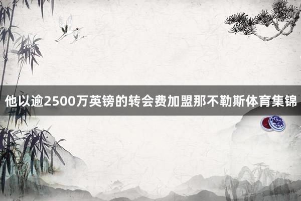 他以逾2500万英镑的转会费加盟那不勒斯体育集锦